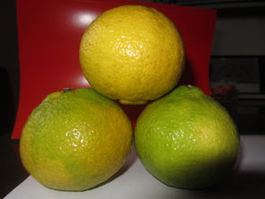 洪江市黔陽紅農(nóng)產(chǎn)品專業(yè)合作社 專業(yè)食用農(nóng)產(chǎn)品批發(fā)與供應(yīng)服務(wù)