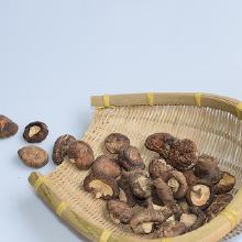 其他新鮮農(nóng)產(chǎn)品市場概況 批發(fā)、價(jià)格與廠家分析
