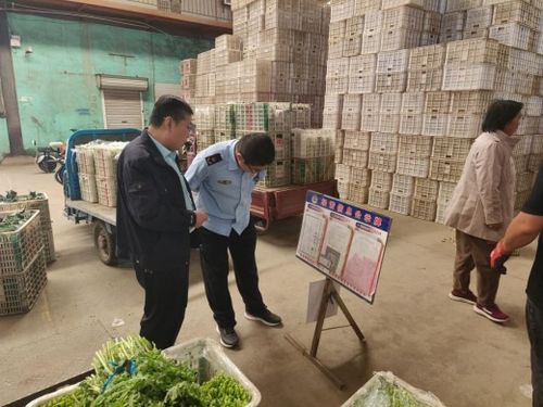 強化源頭管控，守護百姓餐桌——萊陽市開展農產品批發(fā)市場專項監(jiān)督檢查